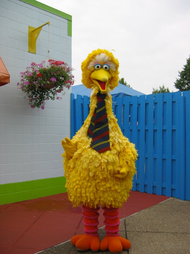 Big Bird walk-arounds | Muppet Wiki | Fandom powered by Wikia