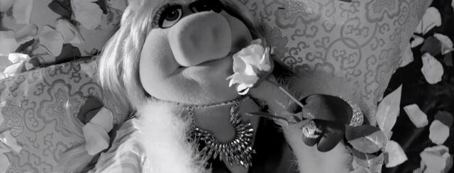File:Moi video 06.jpg