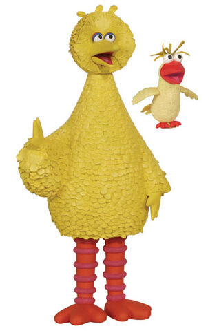 File:Bigbirdlittlebird.jpg