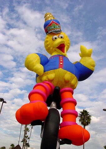 File:Sandiego-bigbird2003.jpg