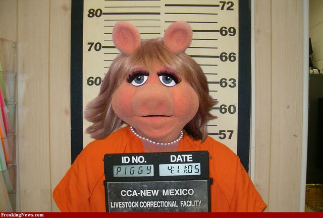 File:Misspiggyjail.jpg