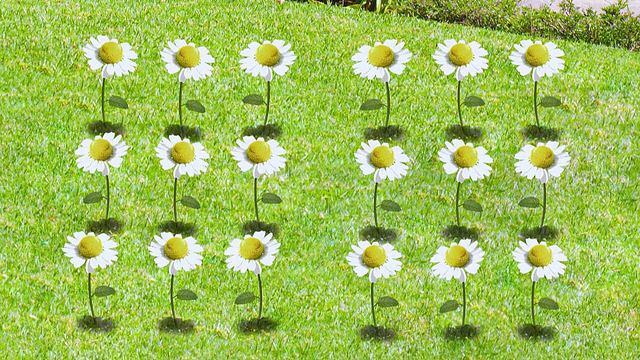 File:18-Flowers.png
