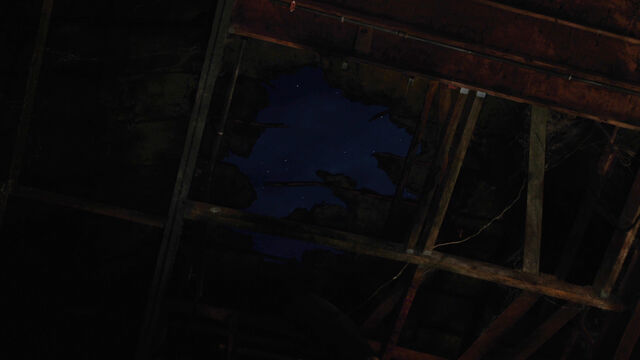 File:Muppet Theatre Starry Sky.jpg