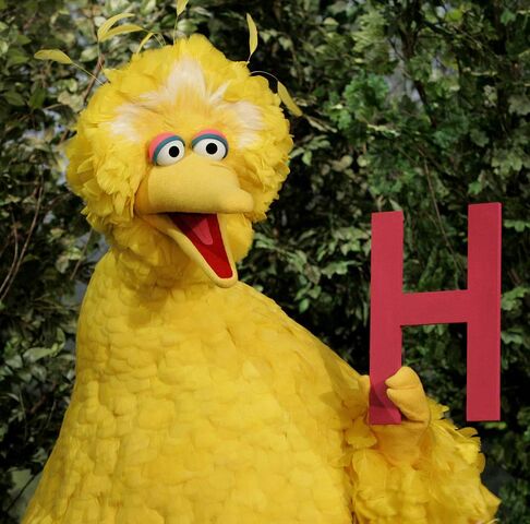 File:BigBird.jpg