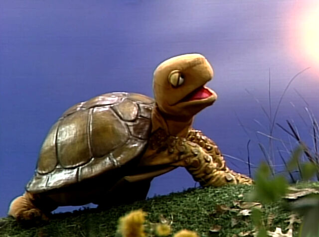 File:ShelleyGetThere.jpg