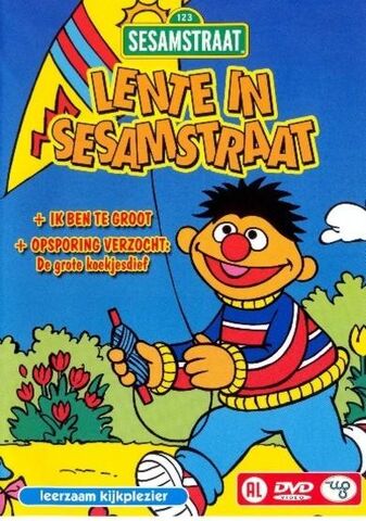 File:Lentesesam.jpg