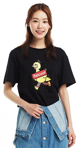 File:Pancoat waddling black.jpg
