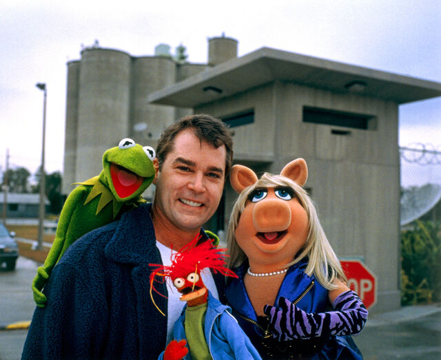 File:Ray kermit pepe.jpg