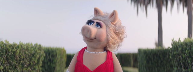 File:Moi video 21.jpg