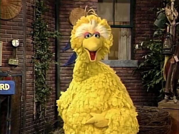 File:BBGrouch-1.jpg