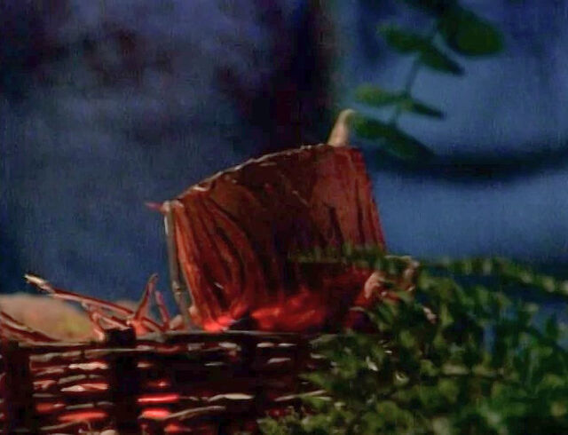 File:Doogan Berry Tea.jpg
