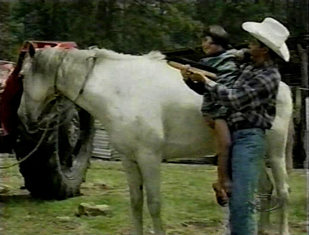File:PSFilm-FarmGirl.jpg