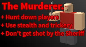 The Murderer