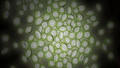 Thumbnail for version as of 18:25, March 19, 2014