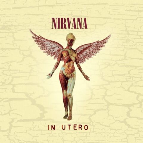 File:In Utero.jpg