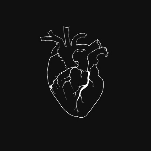 File:Heartlogo.png