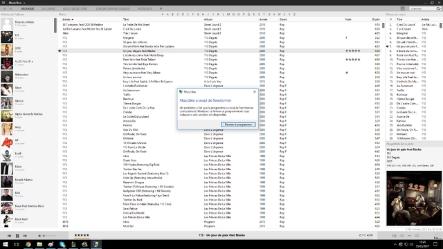 File:Musicbee9494.png