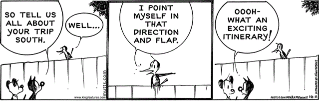 File:101116.gif