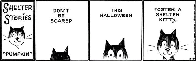 File:103116.gif