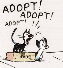 File:Adopt.jpg