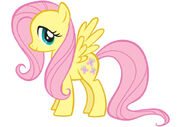 Fluttershy 1.jpeg