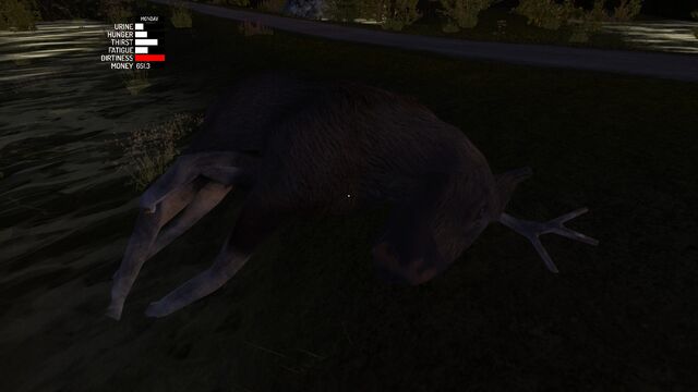 File:Dead moose.jpg