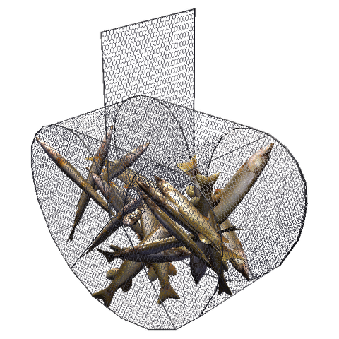 File:Fish trap.png