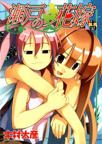 File:Manga Volume 14.jpg