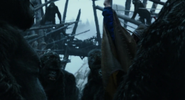 Gorilla Guardian