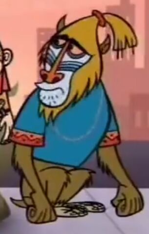 File:Mandrill.jpg