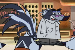 Skunk Teacher
