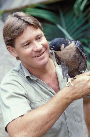 File:Steve bird-600.jpg