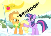 Brohoof-(n1293574743684)