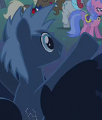 Star Hunter Earth pony id S02E26.png