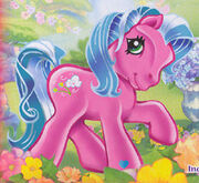 SweetBreezeBackcardArtwork