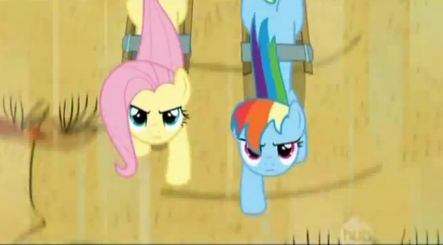 File:Fluttershy and Dash looking up S02E14.png