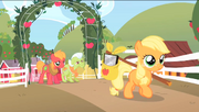 AppleJackfilly.png