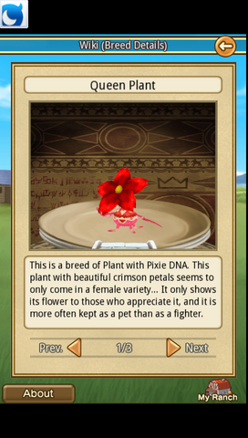 File:Queen Plant.png