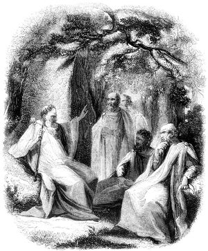 0015-Group-of-Arch-Druid-and-Druids-q75-735x889.jpg