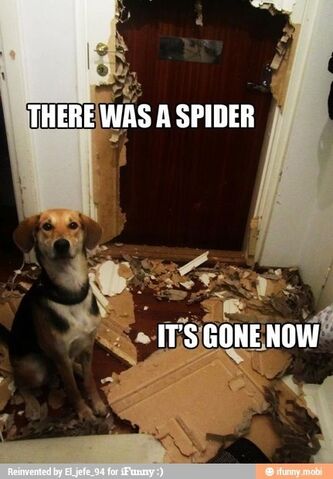 File:There was a spider.jpg