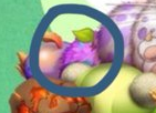 Clamble egg dof found