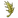 Grain