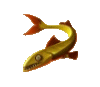 Enorm tigerfish