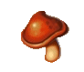 Apricot jelly mushroom