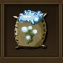 Cotton