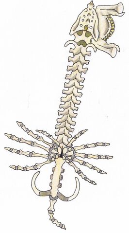 File:Skeleton keyblade by amaquieria-d33eg7w.jpg