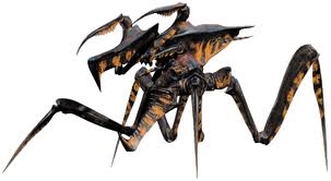 Bug
