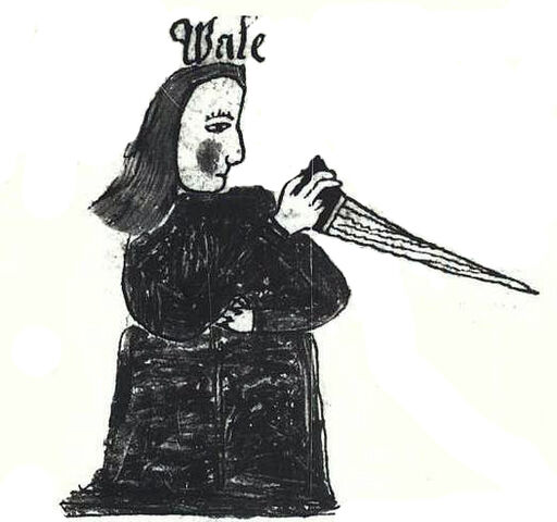 File:AM 738 4to, 39v, BW Váli.jpeg