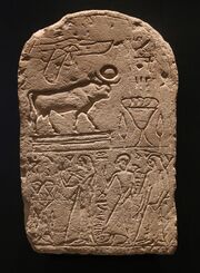 Votivstele fuer den Mnevis-Stier, Heliopolis 12. Jh. v. Chr. Aegyptisches Museum, Muenchen-1