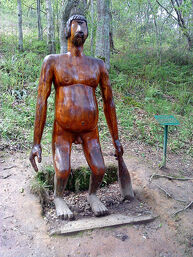 Pataricu